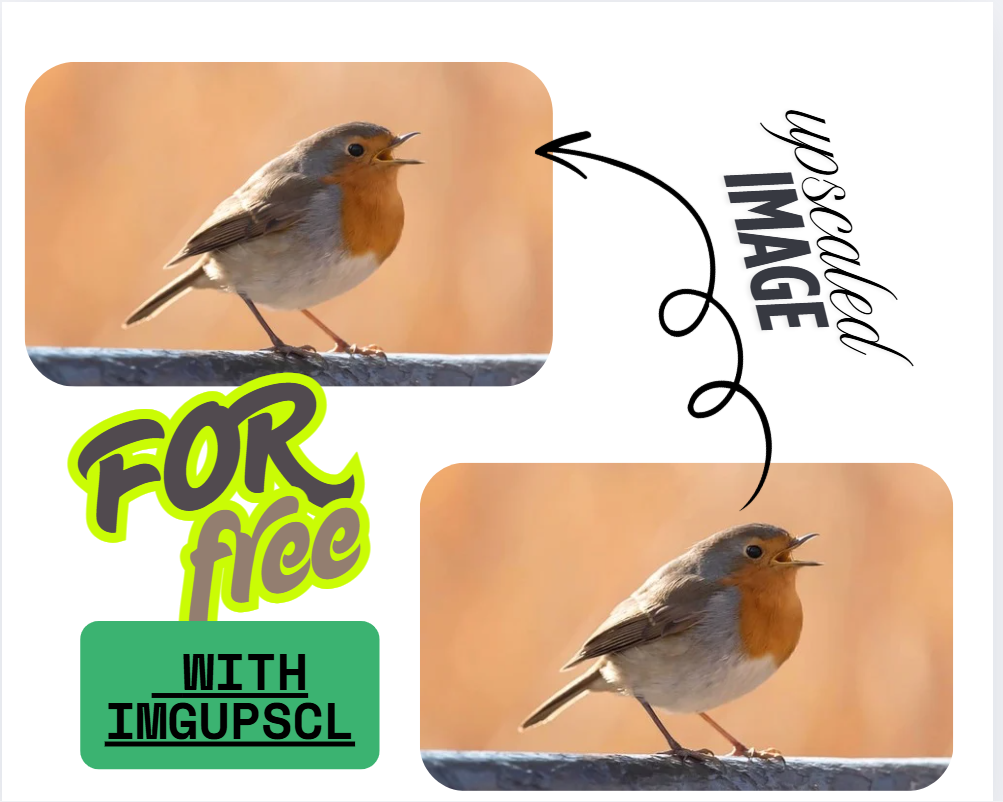 Dynamic image transformation